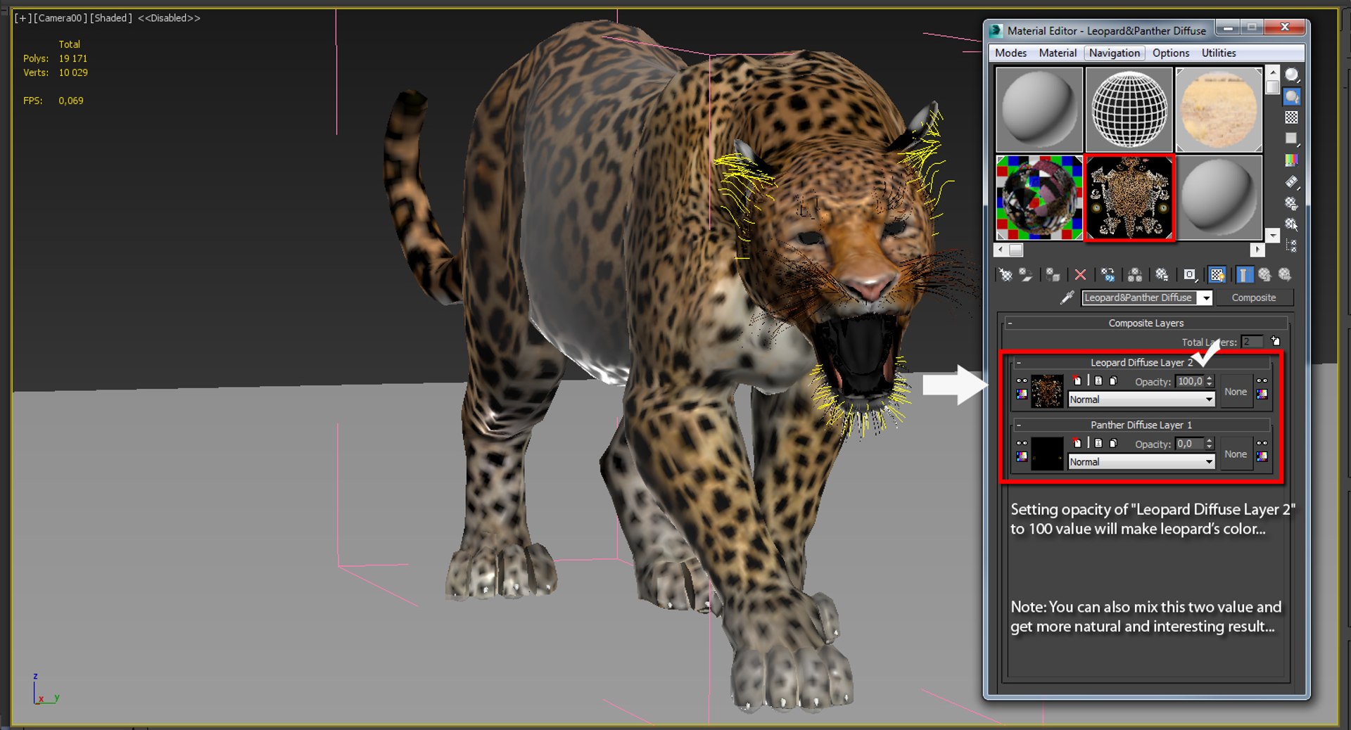 Leopard and Panther Animated 3D Model