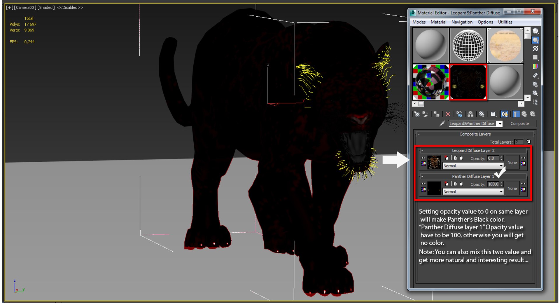 Leopard and Panther Animated 3D Model
