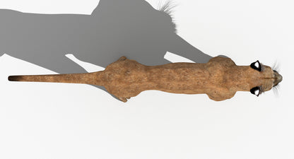 Big Cats 03 3D Model