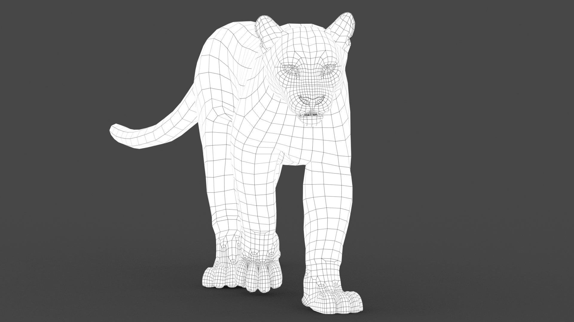 Animated Cougar 3D Model with Fur