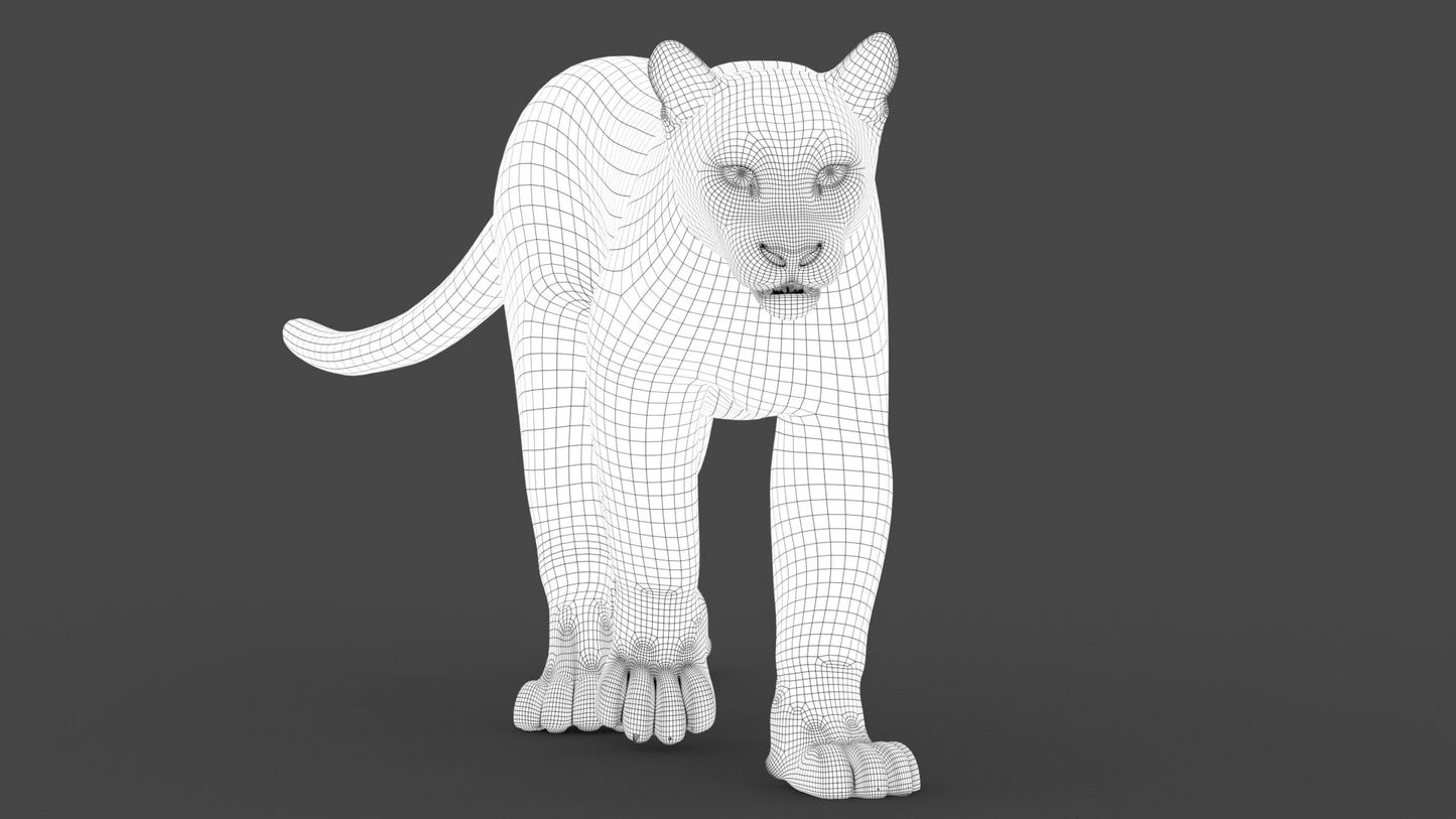 Animated Cougar 3D Model with Fur