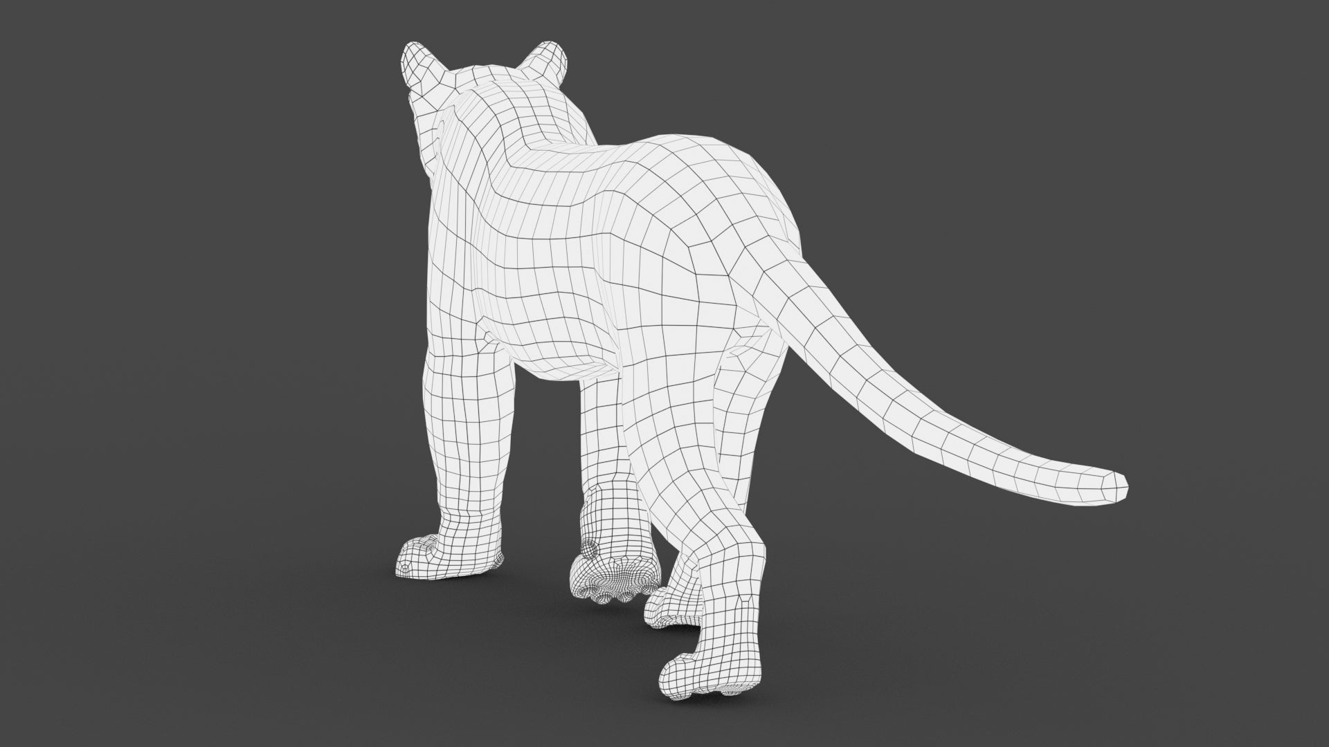 Animated Cougar 3D Model with Fur