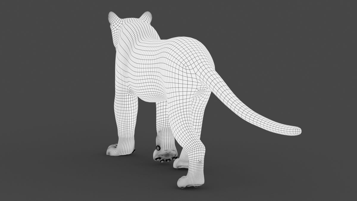 Animated Cougar 3D Model with Fur