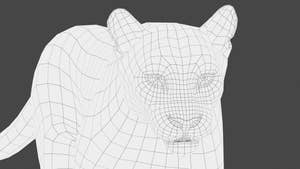 Animated Cougar 3D Model with Fur Thumbnail