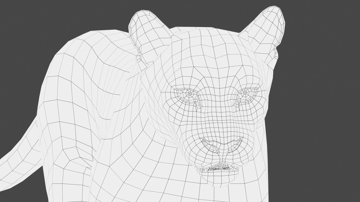 Animated Cougar 3D Model with Fur