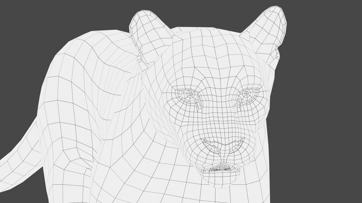 Animated Cougar 3D Model with Fur