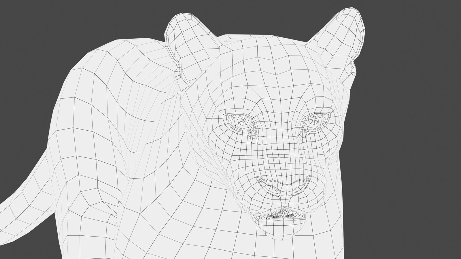Animated Cougar 3D Model with Fur