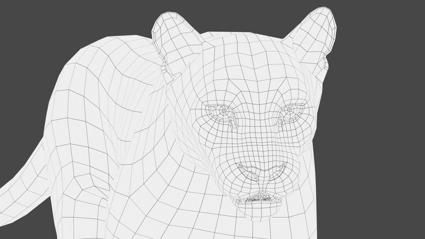 Animated Cougar 3D Model with Fur