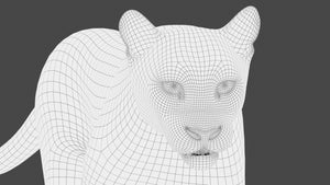 Animated Cougar 3D Model with Fur Thumbnail