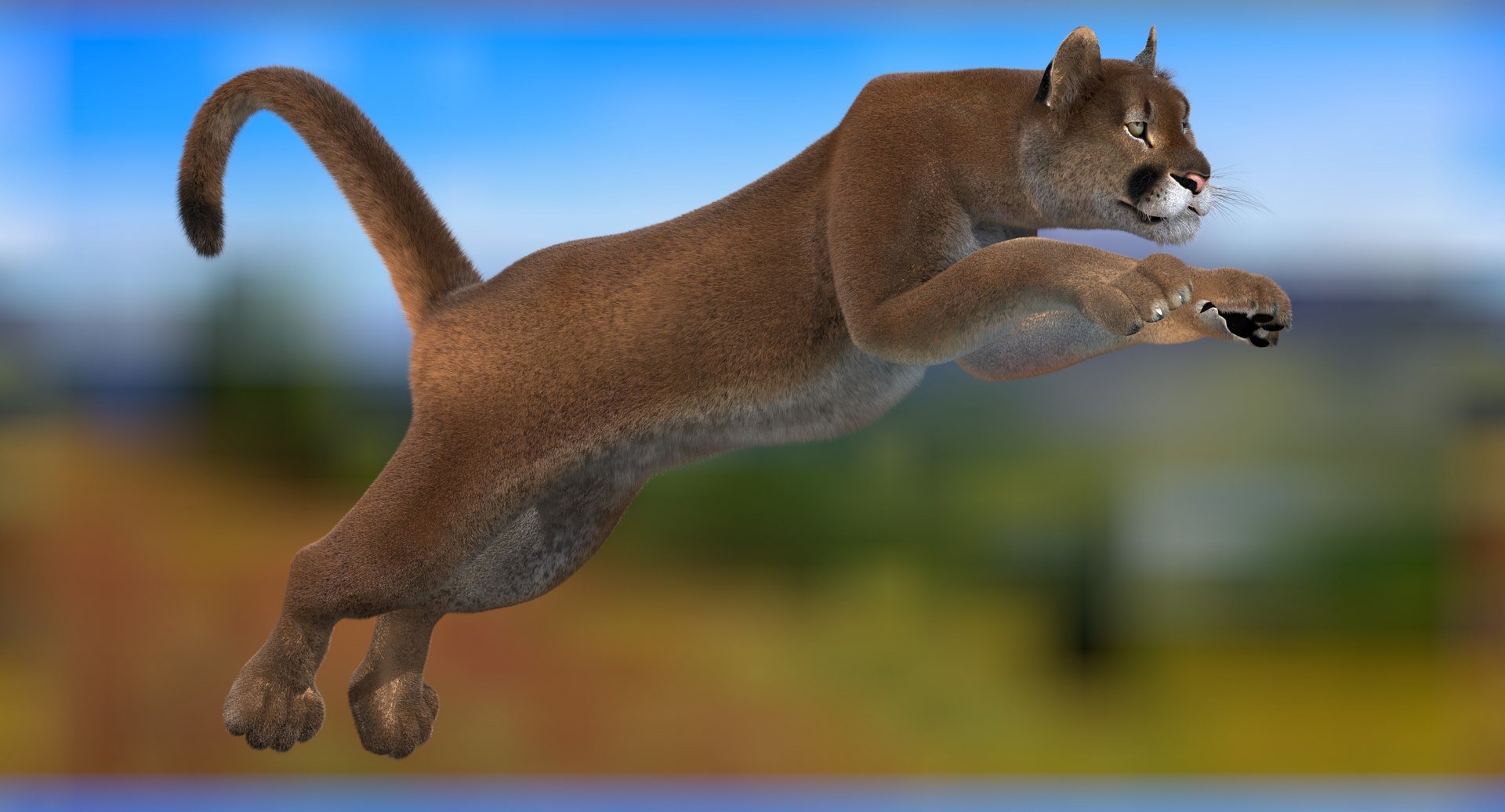 Cougar Animated Fur 3D Model