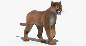 Cougar Animated Fur 3D Model Thumbnail