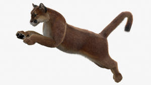 Animated Cougar 3D Model with Fur Thumbnail