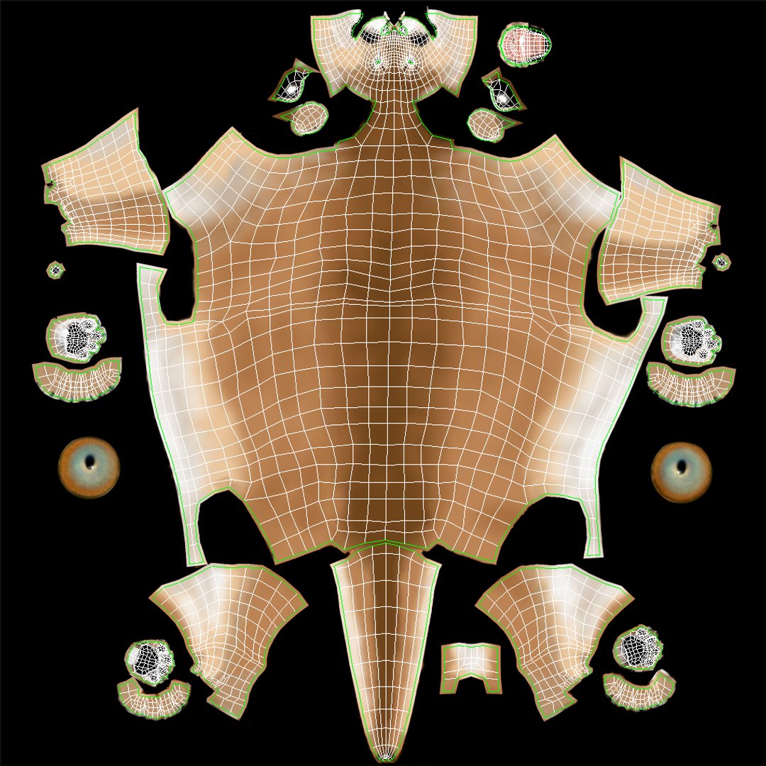 Cougar Animated Fur 3D Model