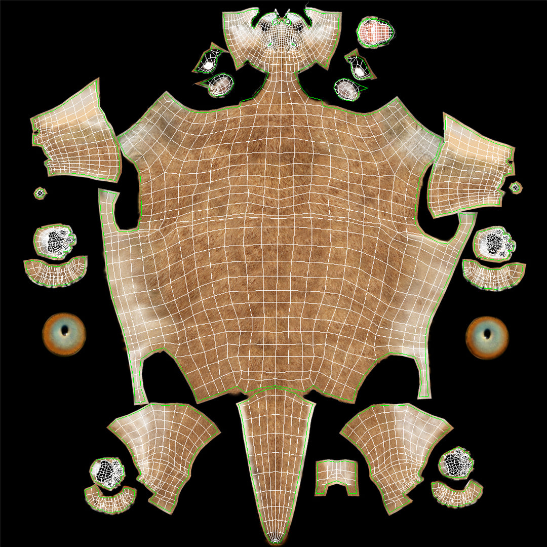 Animated Cougar 3D Model with Fur