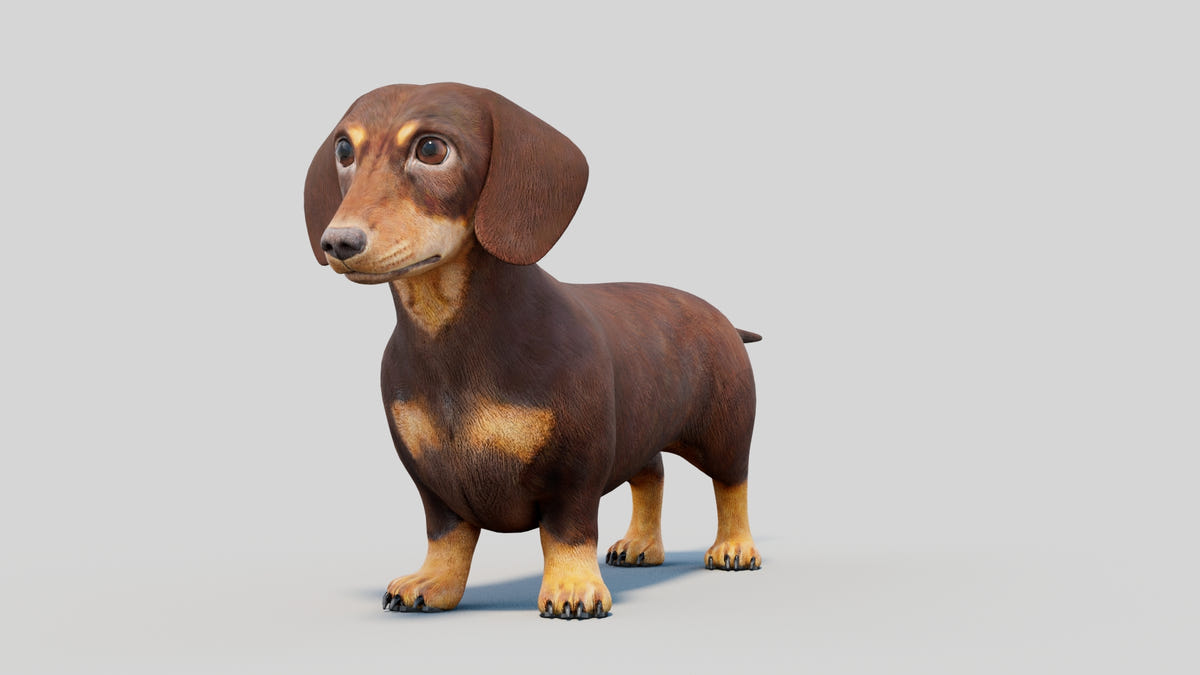 Low-Poly Dachshund 3D Model - 360 Degree View