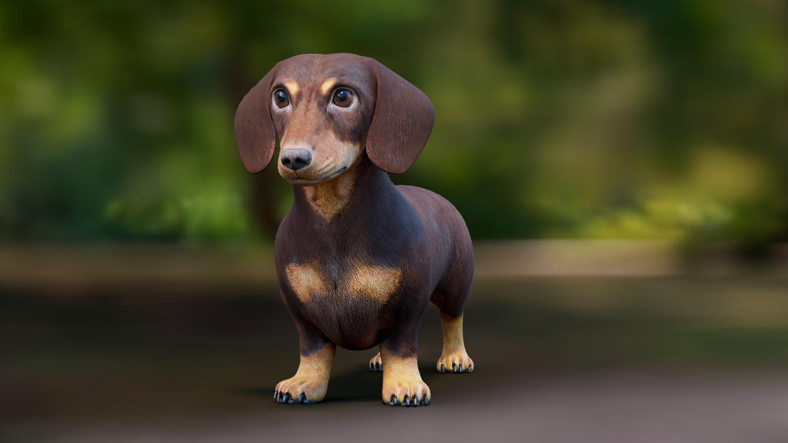 Dachshund 3D Model 360° view 1 frame 2