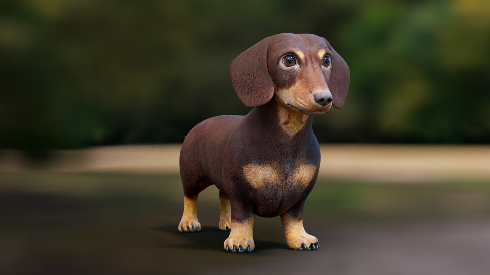 Dachshund 3D Model 360° view 1 frame 5