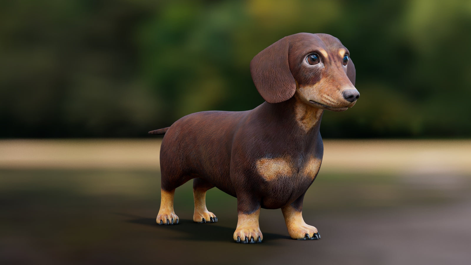 Dachshund 3D Model 360° view 1 frame 6