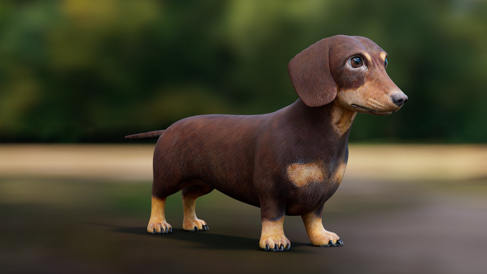 Dachshund 3D Model 360° view 1 frame 7