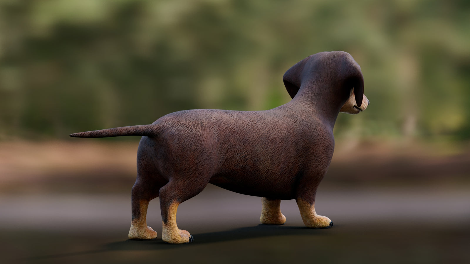 Dachshund 3D Model 360° view 1 frame 17