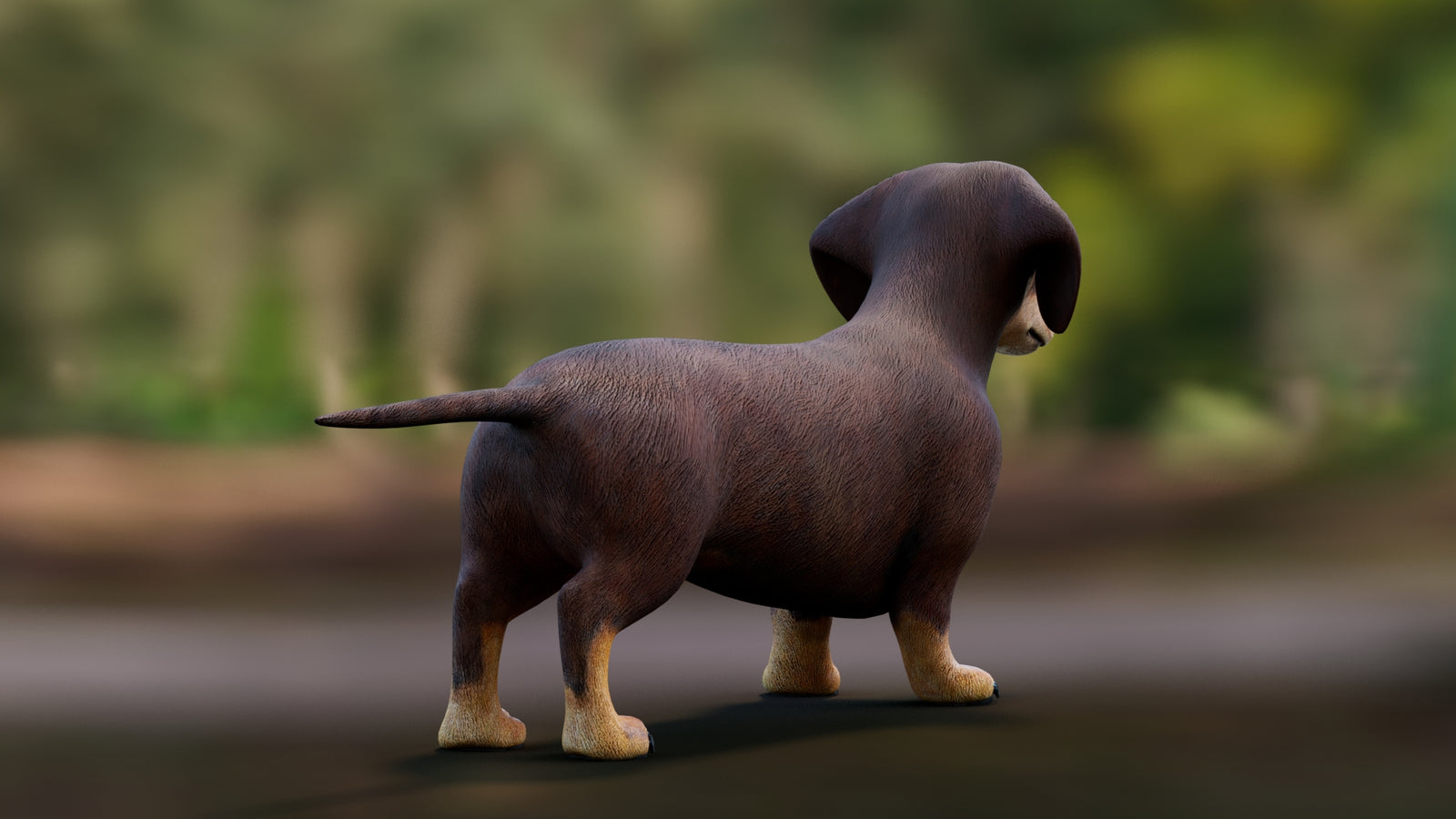 Dachshund 3D Model 360° view 1 frame 18