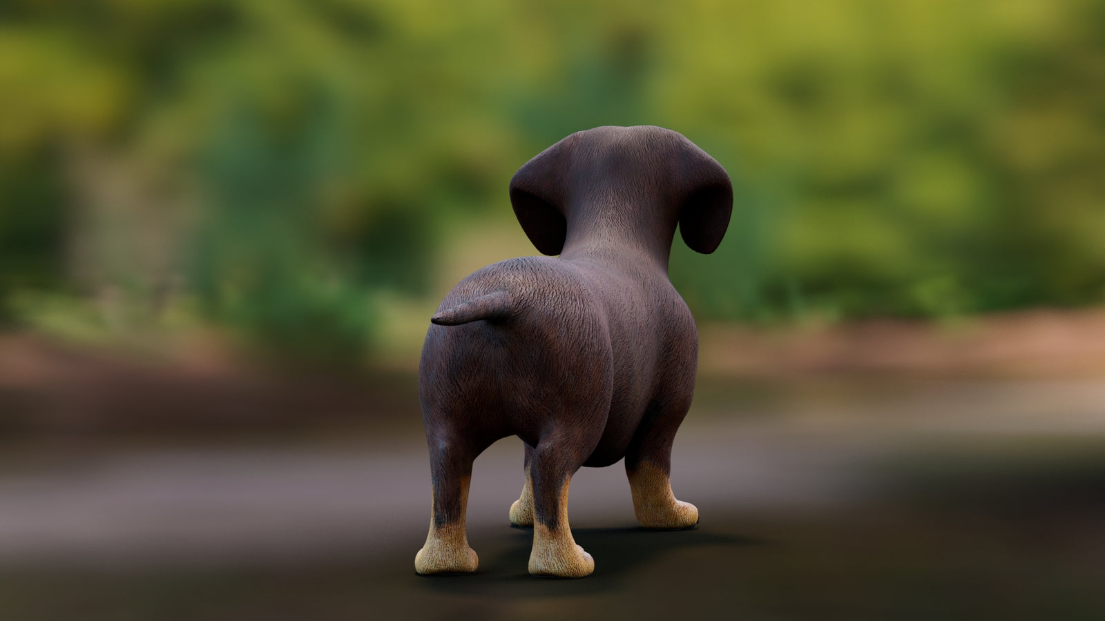 Dachshund 3D Model 360° view 1 frame 20