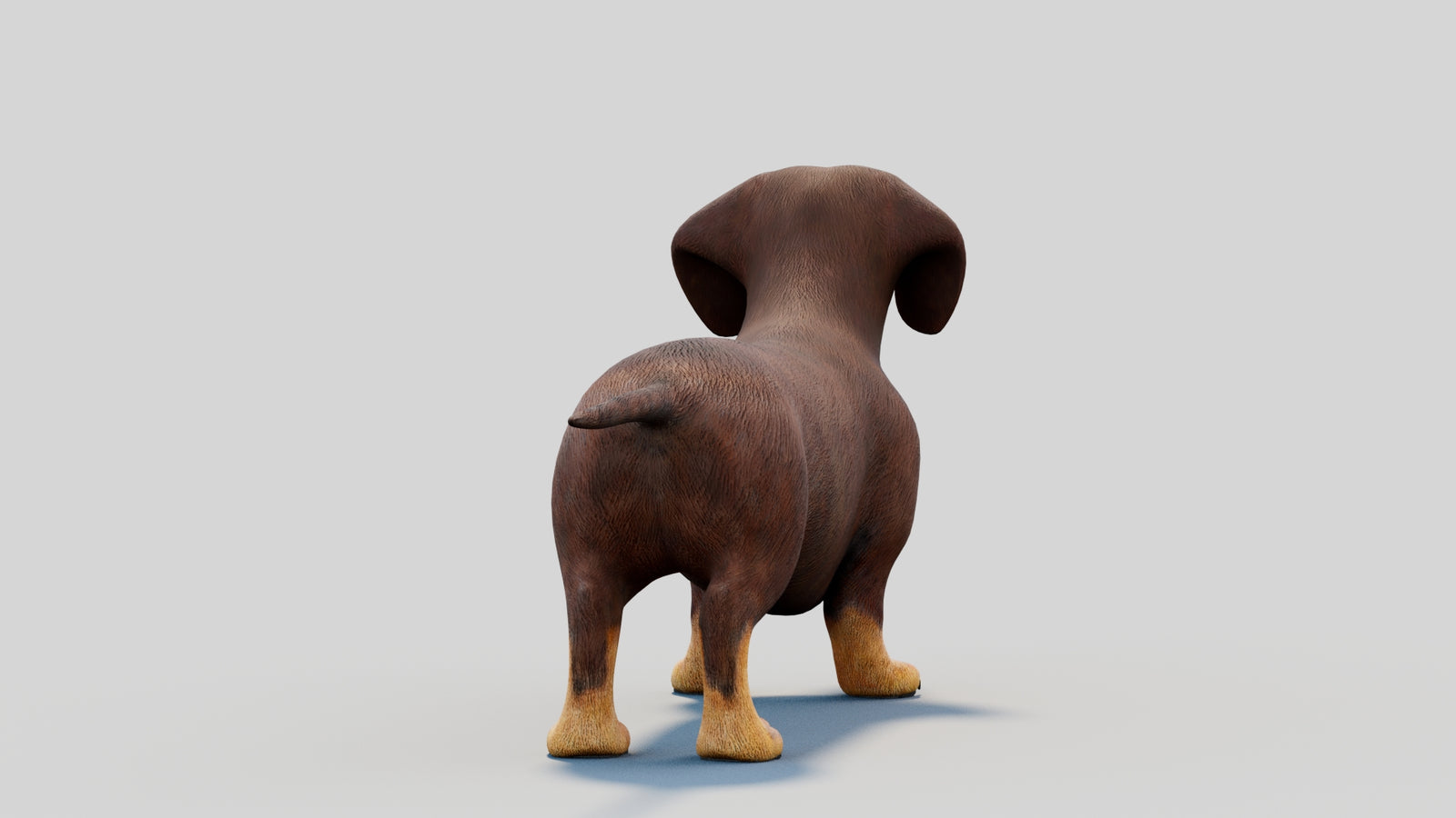 Dachshund 3D Model 360° view 2 frame 20