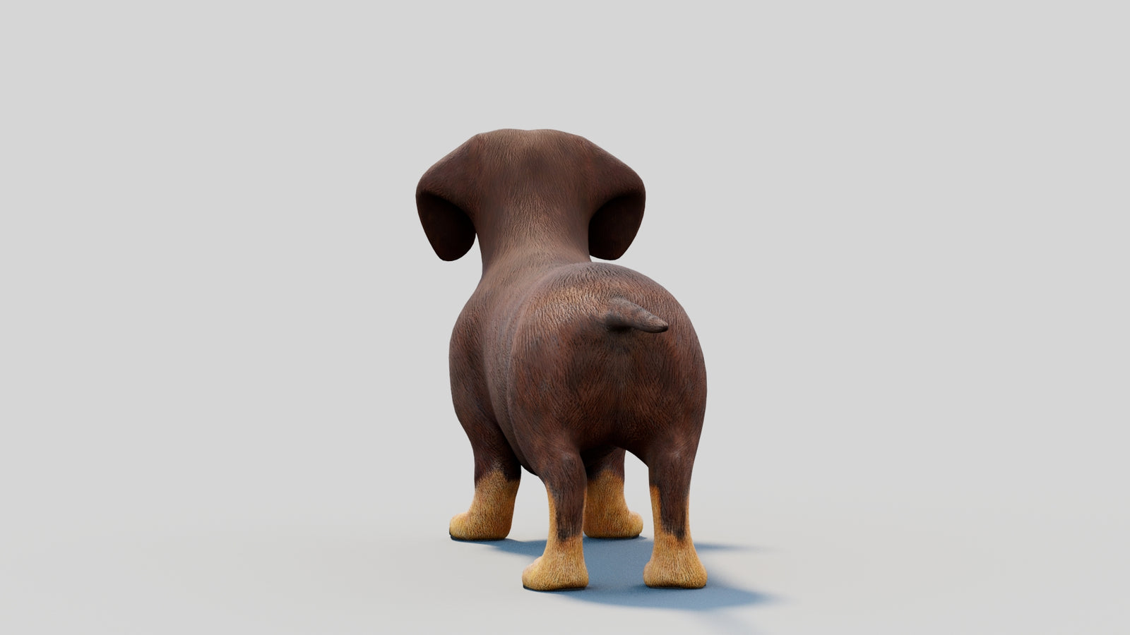 Dachshund 3D Model 360° view 2 frame 22