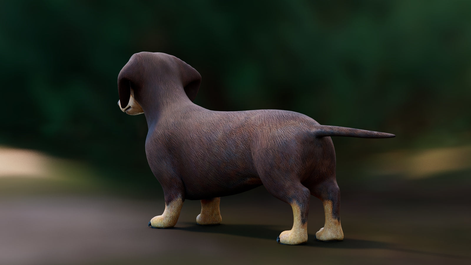Dachshund 3D Model 360° view 1 frame 25
