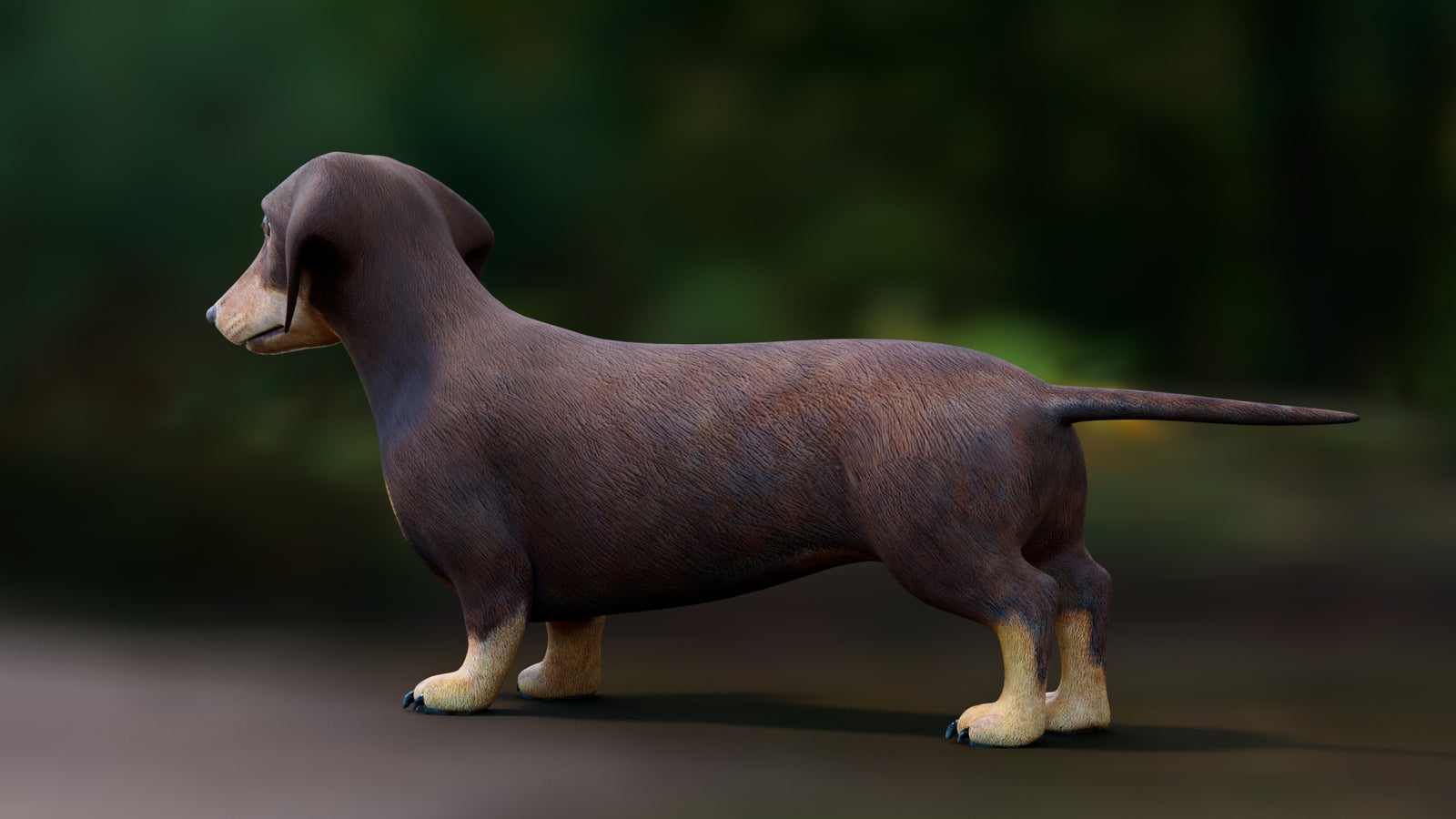 Dachshund 3D Model 360° view 1 frame 27