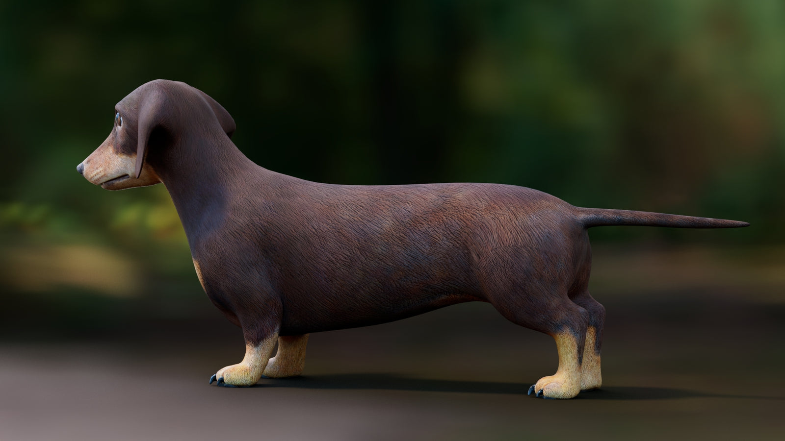 Dachshund 3D Model 360° view 1 frame 28