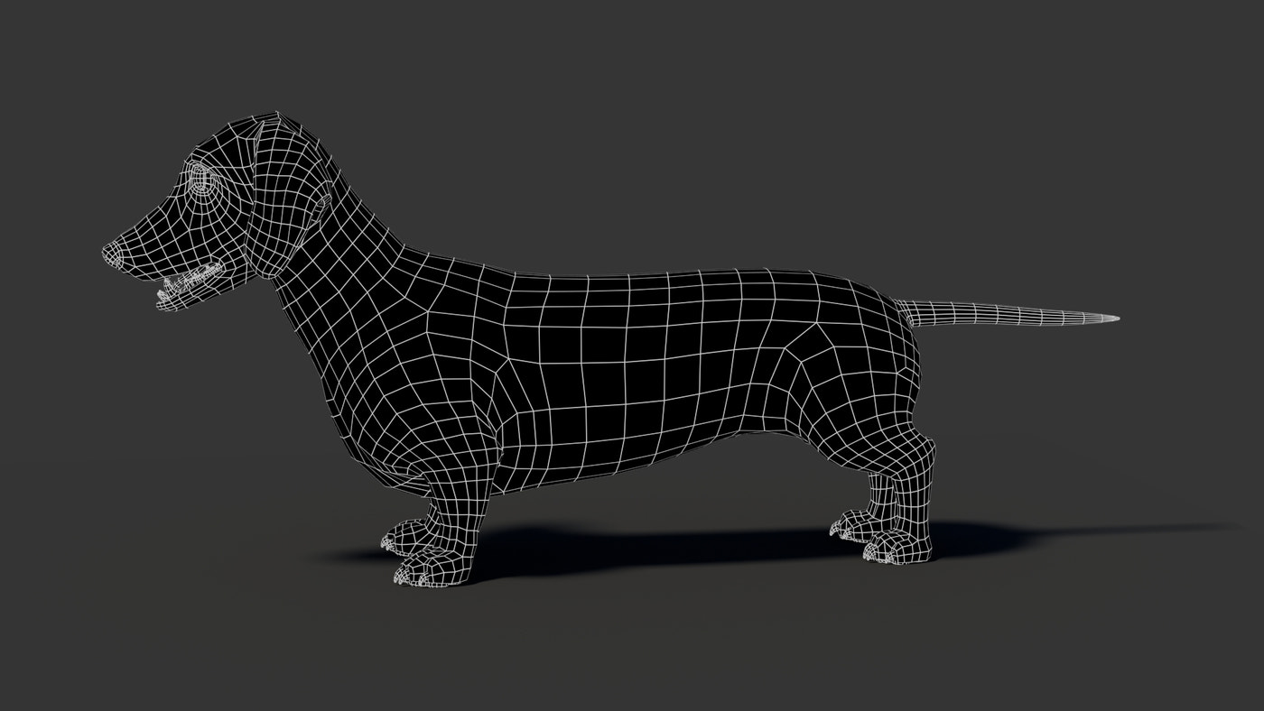 Black Dachshund Dog 3D Model - 360 Degree View