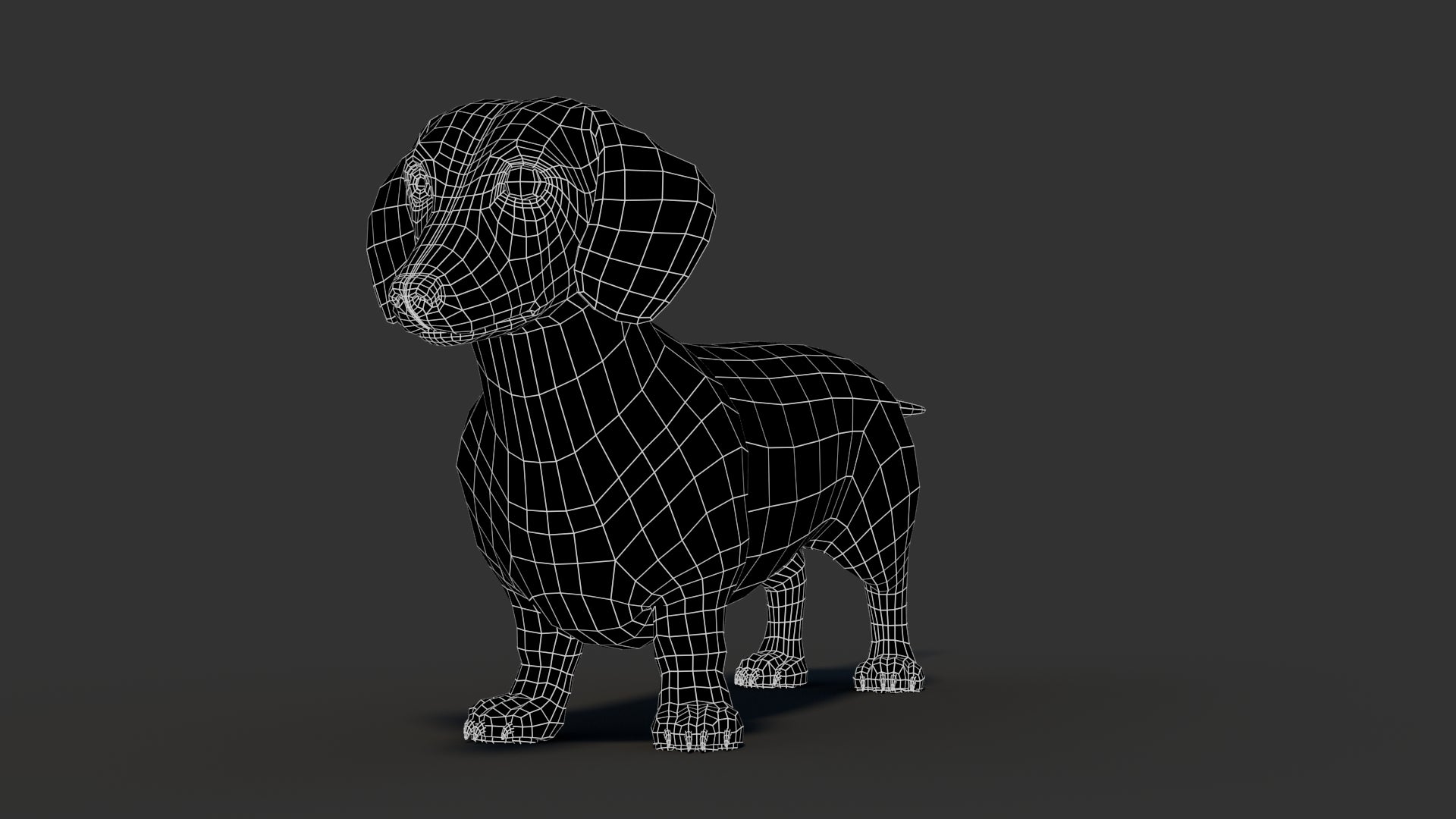 Dachshund 3D Model - 360 Degree View