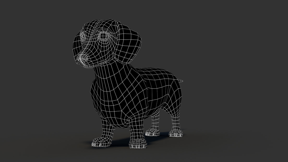 Dachshund 3D Model - 360 Degree View