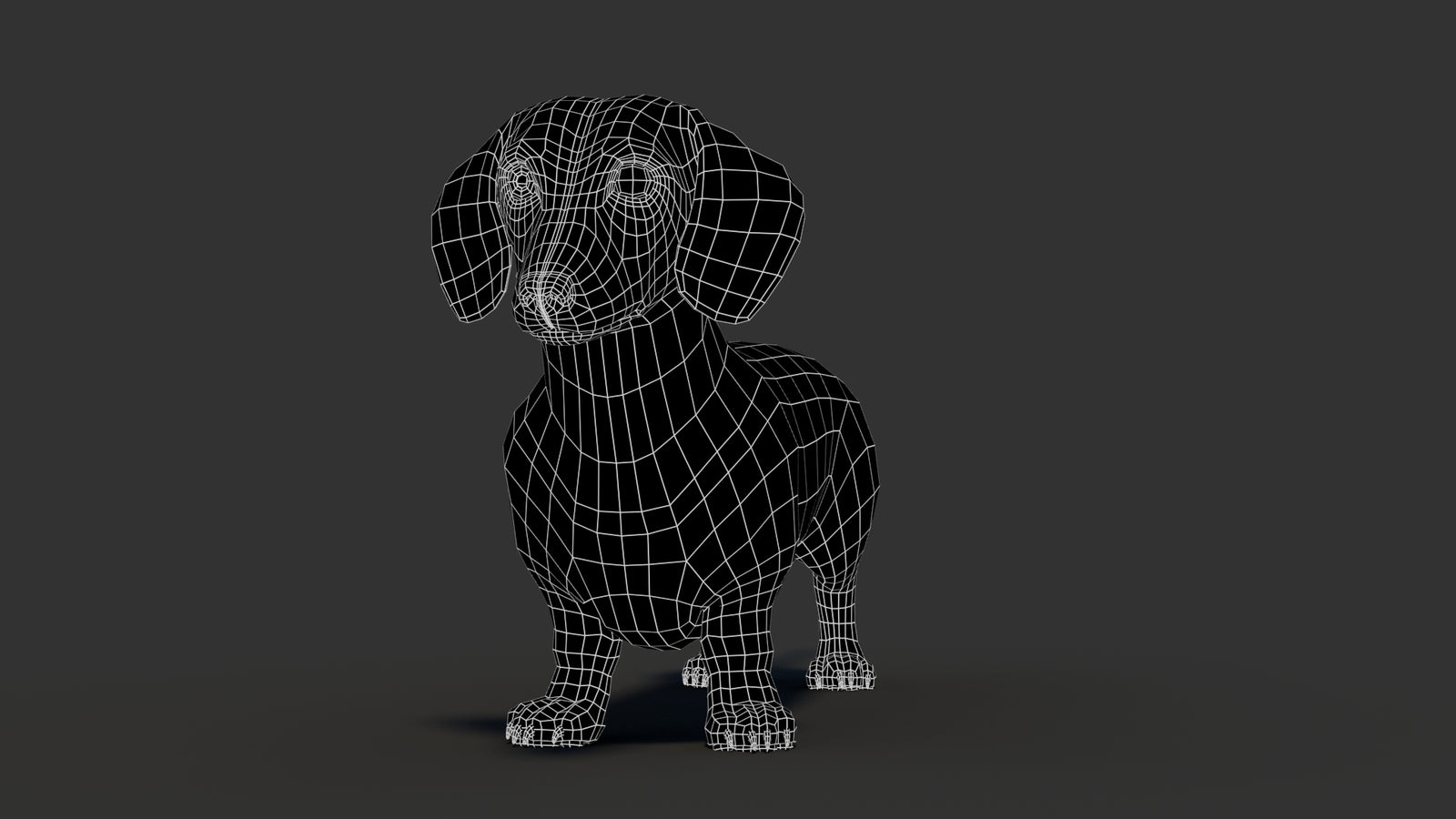 Dachshund 3D Model 360° view 3 frame 2