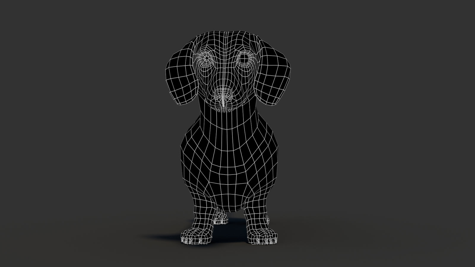 Dachshund 3D Model 360° view 3 frame 3
