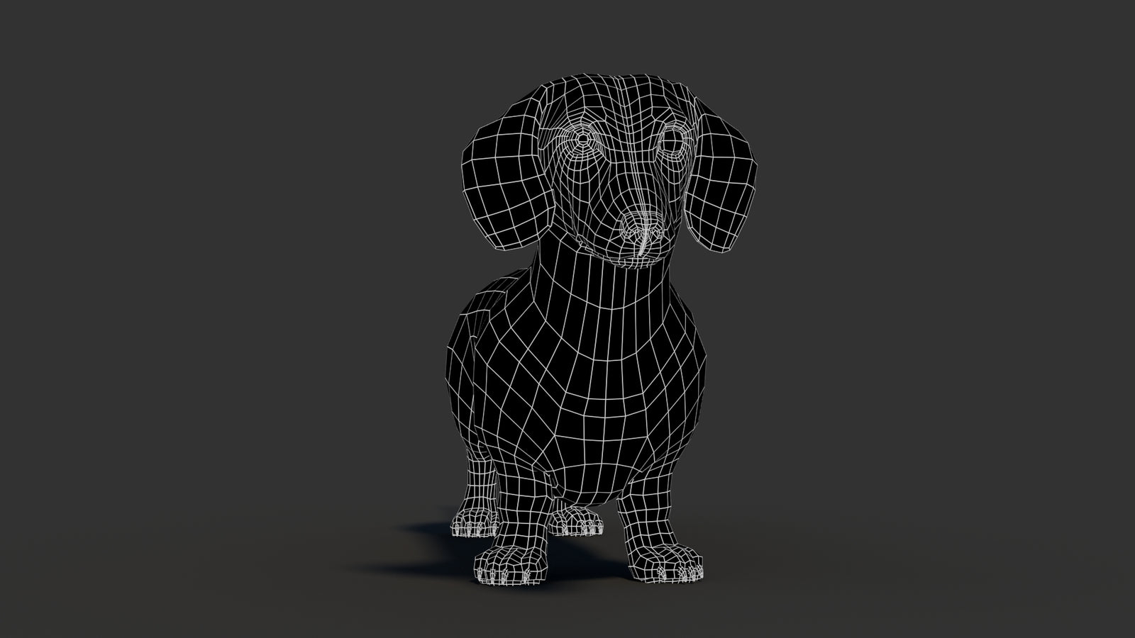 Dachshund 3D Model 360° view 3 frame 4