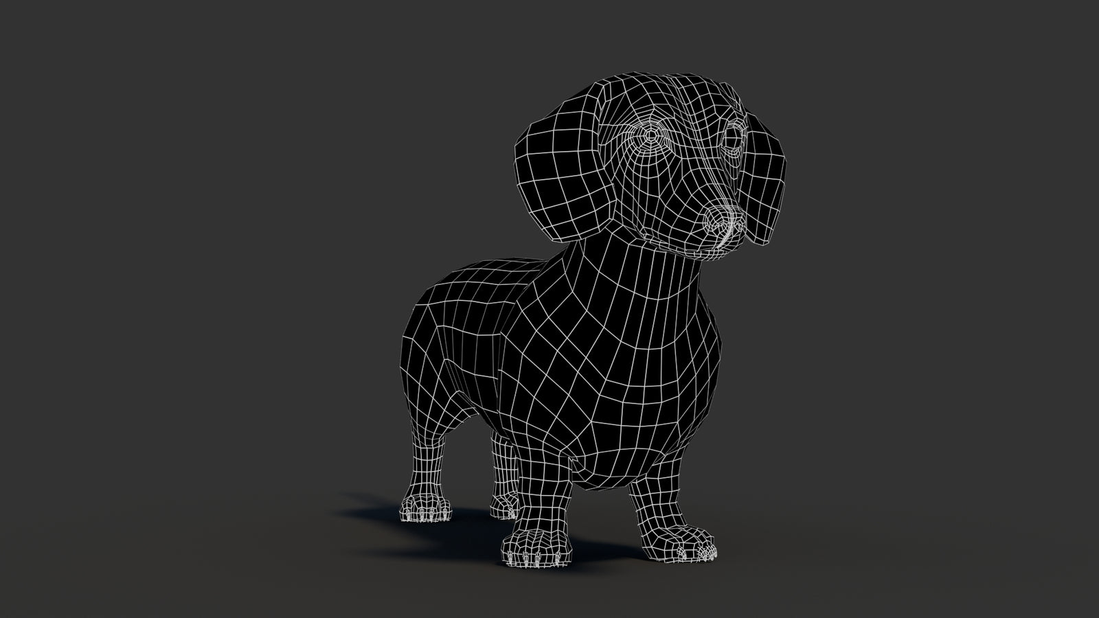 Dachshund 3D Model 360° view 3 frame 5