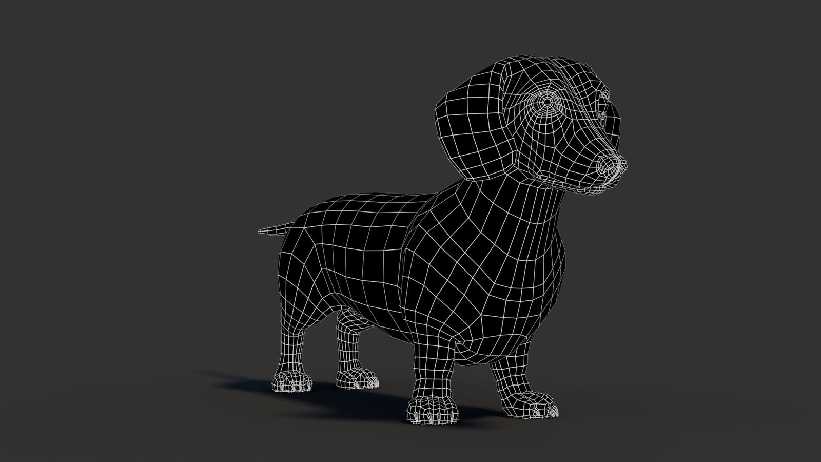 Dachshund 3D Model 360° view 3 frame 6