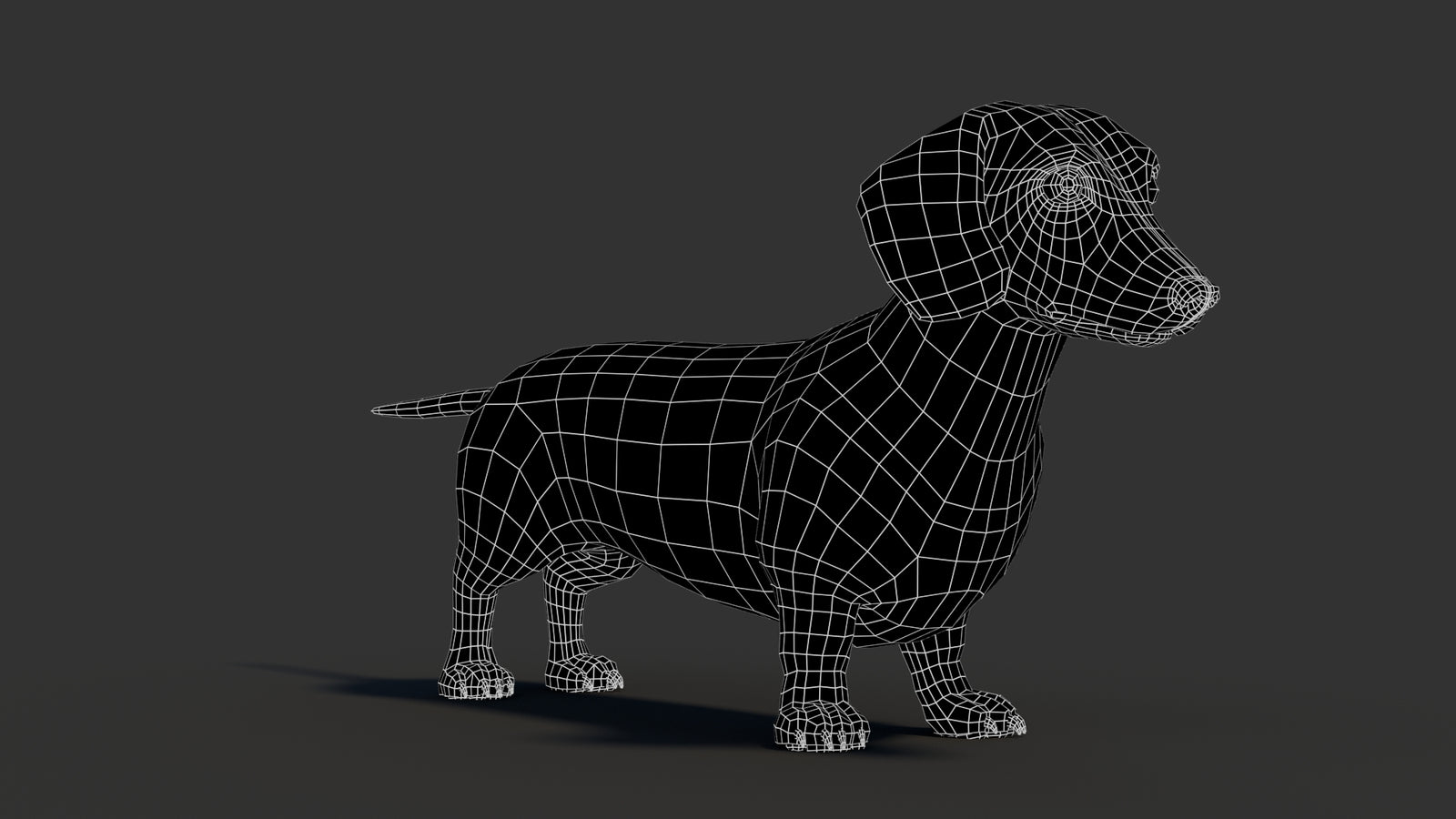 Dachshund 3D Model 360° view 3 frame 7