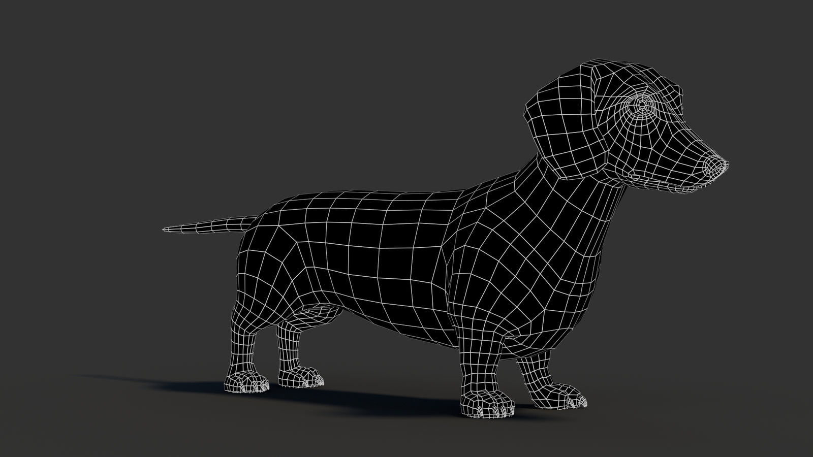 Dachshund 3D Model 360° view 3 frame 8