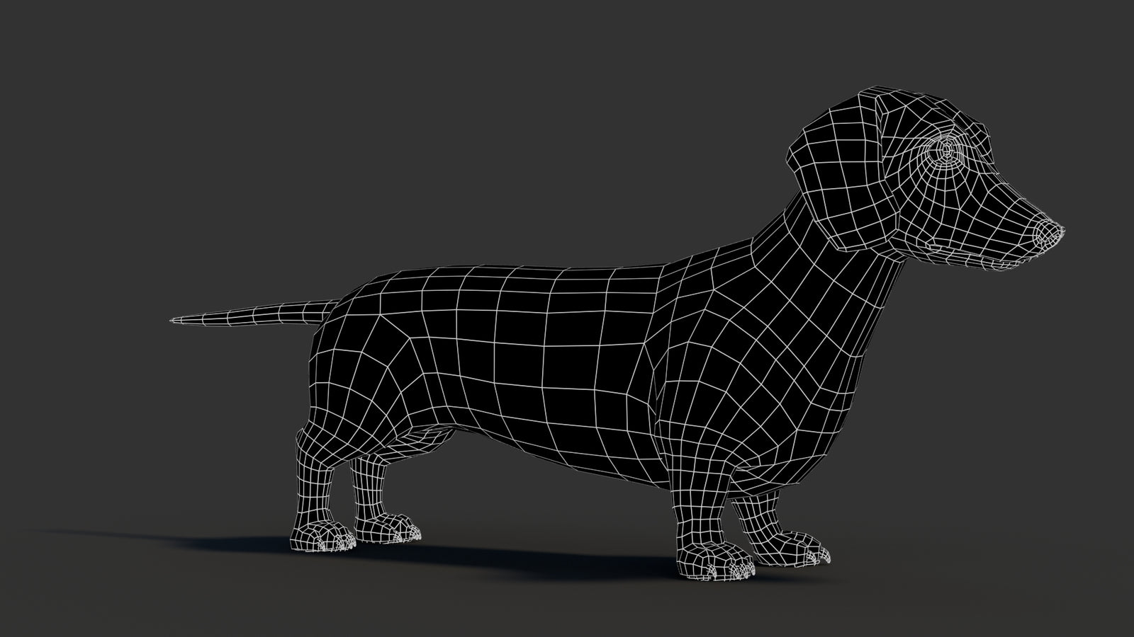 Dachshund 3D Model 360° view 3 frame 9