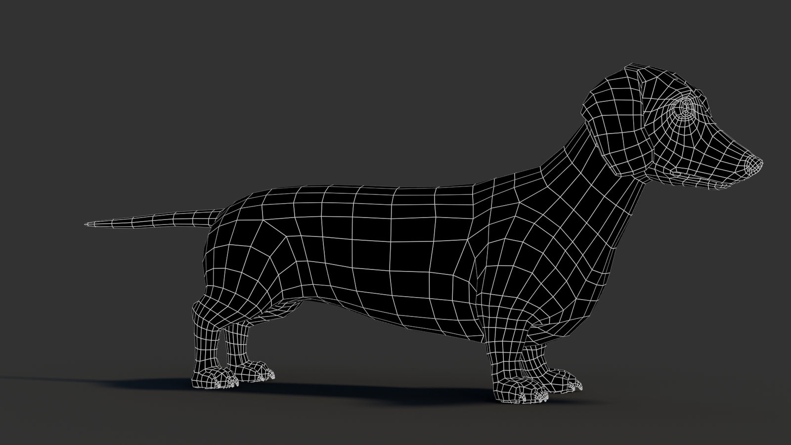 Dachshund 3D Model 360° view 3 frame 10