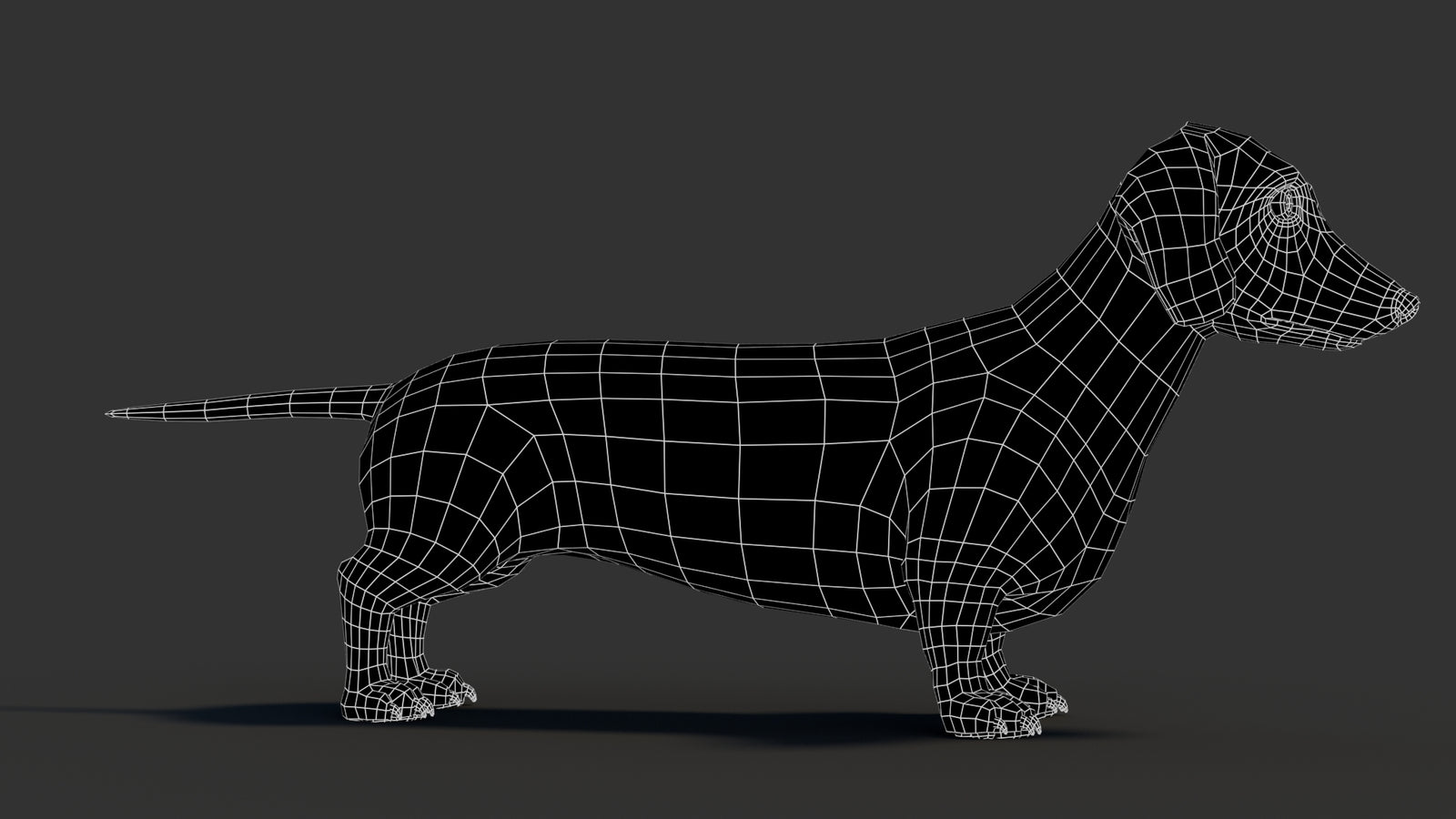 Dachshund 3D Model 360° view 3 frame 11