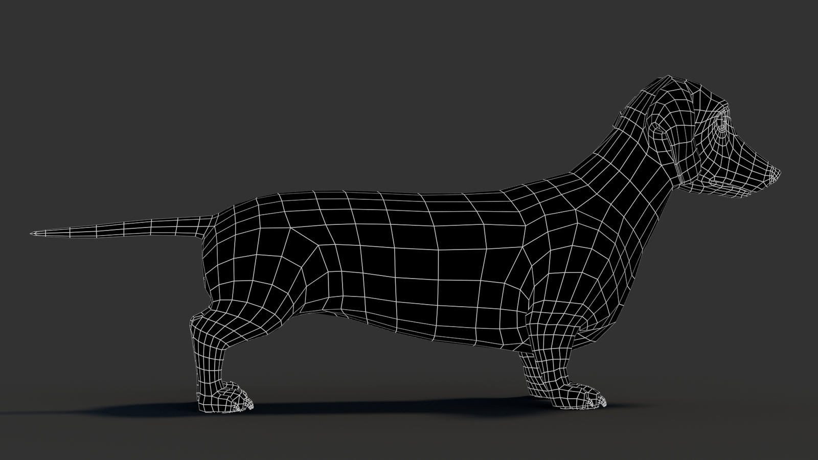 Dachshund 3D Model 360° view 3 frame 13