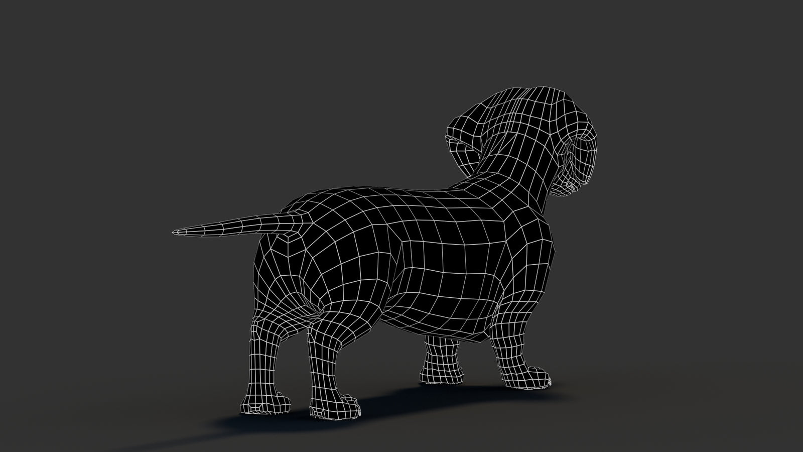 Dachshund 3D Model 360° view 3 frame 18