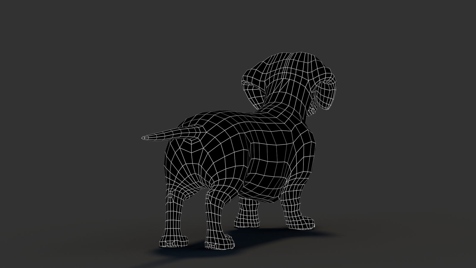Dachshund 3D Model 360° view 3 frame 19