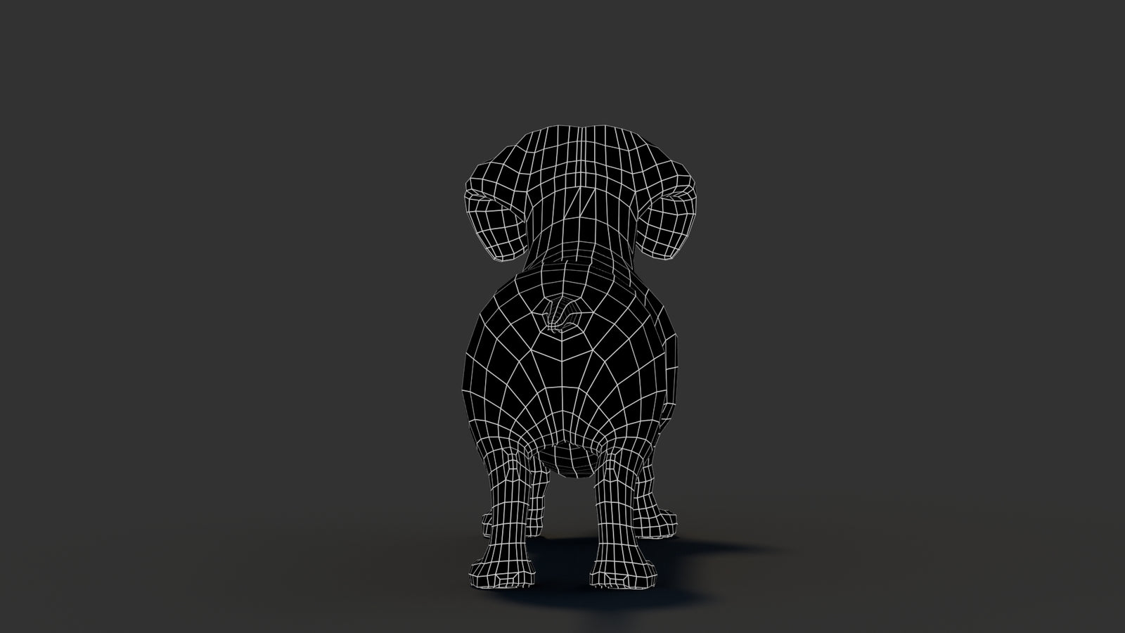 Dachshund 3D Model 360° view 3 frame 21