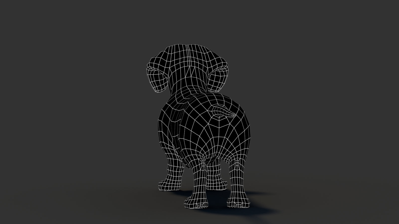 Dachshund 3D Model 360° view 3 frame 22