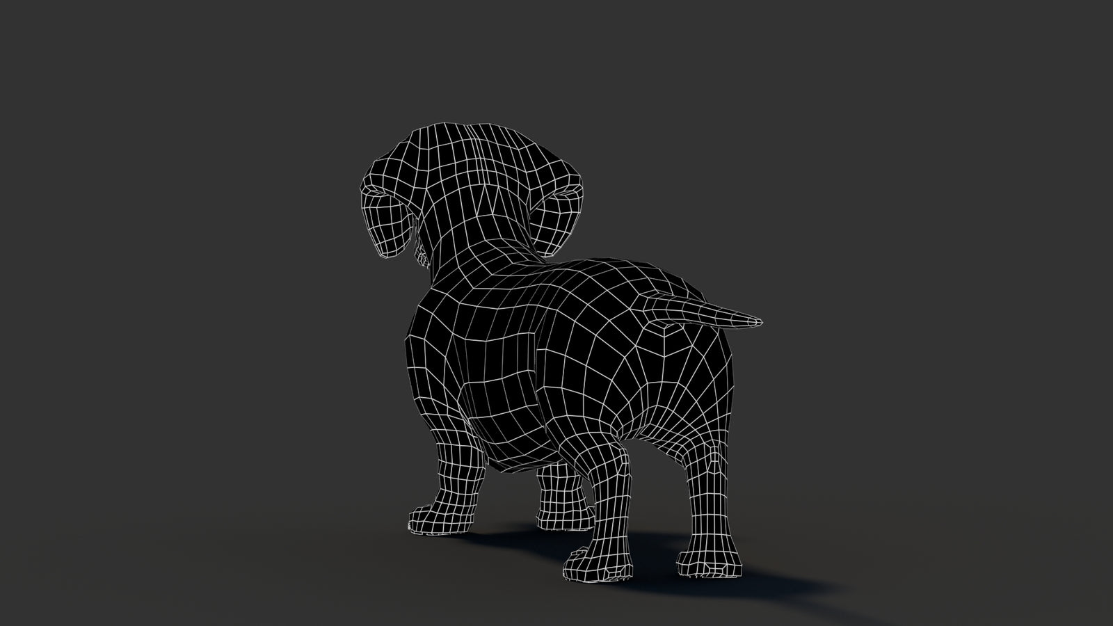 Dachshund 3D Model 360° view 3 frame 23